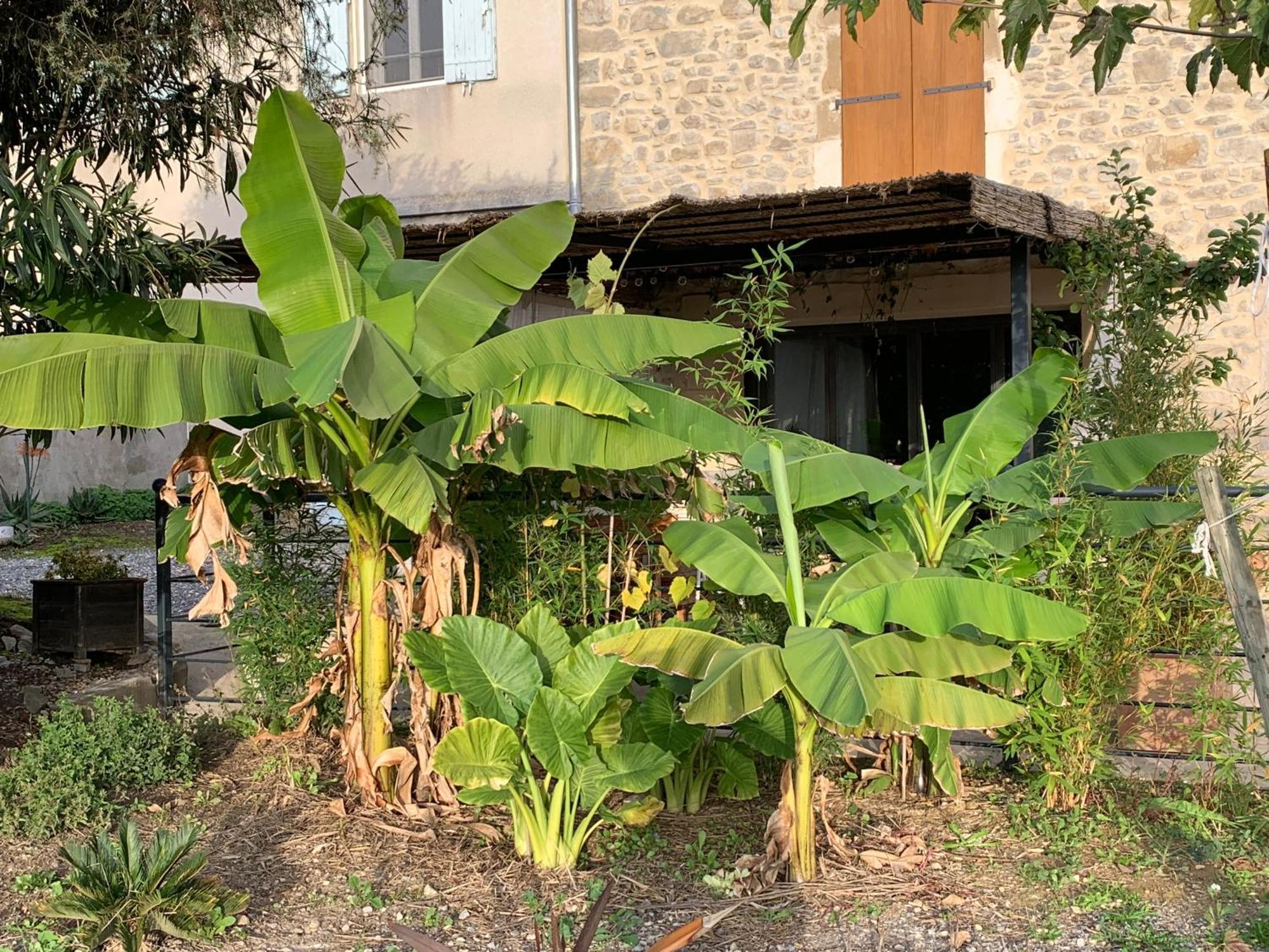 La Bergerie Appartement Domessargues Buitenkant foto