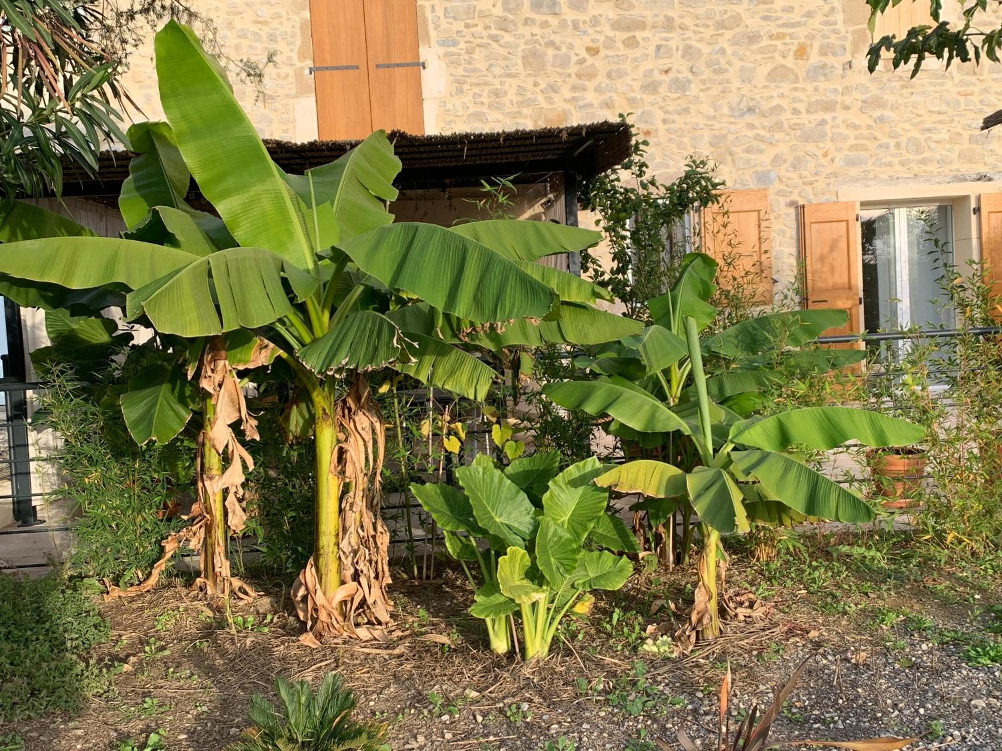 La Bergerie Appartement Domessargues Buitenkant foto