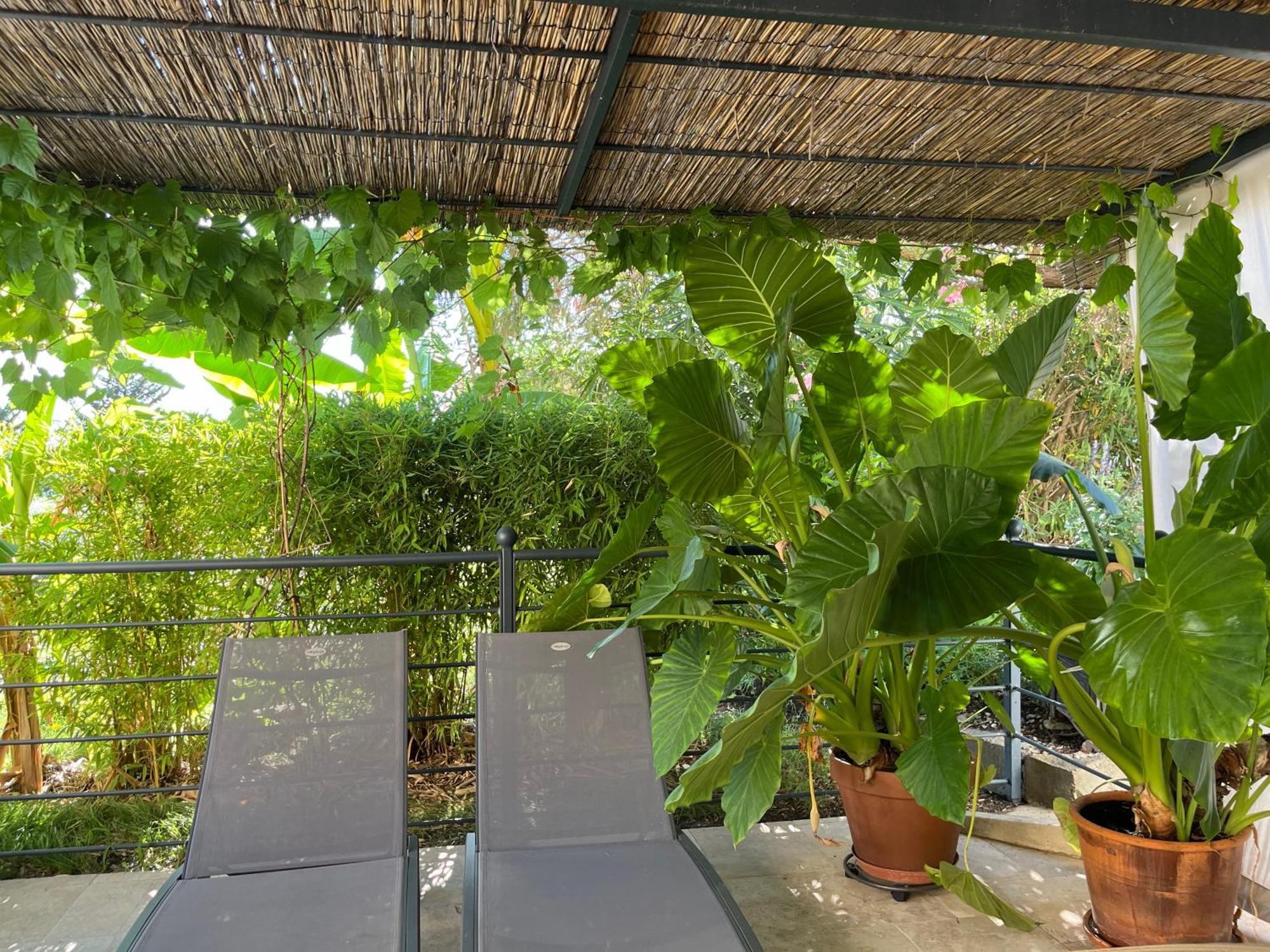 La Bergerie Appartement Domessargues Buitenkant foto