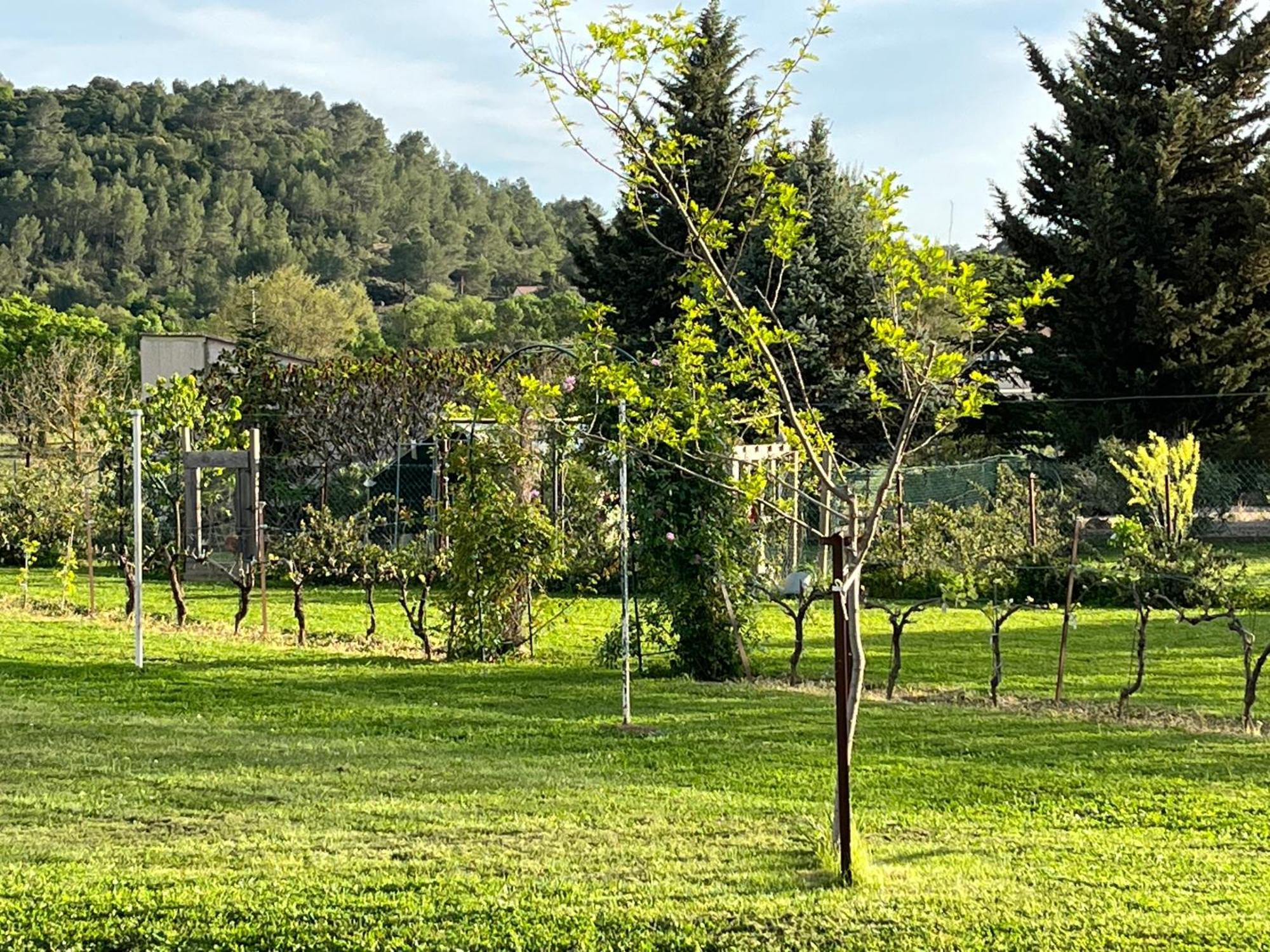 La Bergerie Appartement Domessargues Buitenkant foto